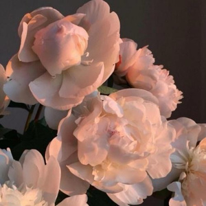 操馒头逼少妇高朝
