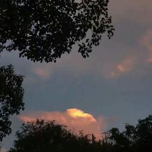 操馒头逼少妇高朝
